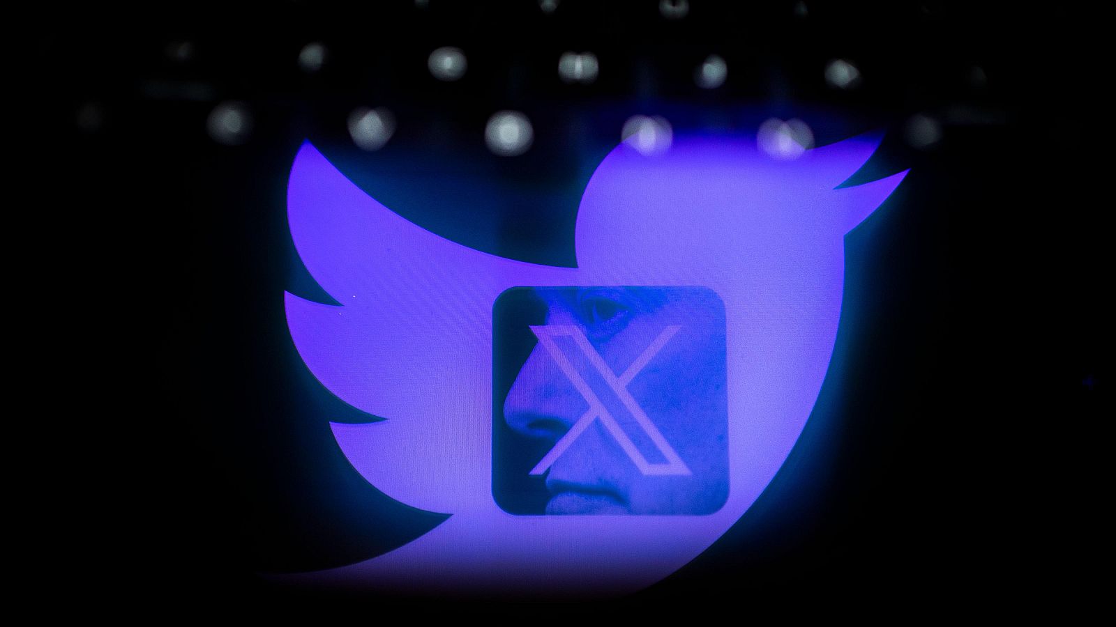 De Twitter a X: la red social generalista que mutó en arena política en sus 20 años de historia