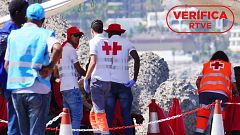 Los ataques a las ONG: la desinformación que promueve recortes y pone vidas en peligro
