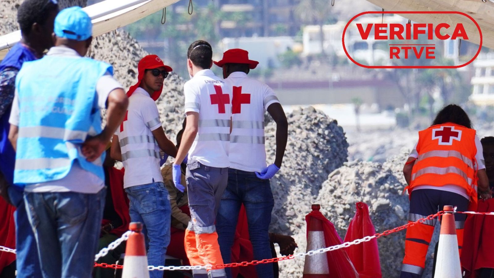 Los ataques a las ONG: la desinformación que promueve recortes y pone vidas en peligro