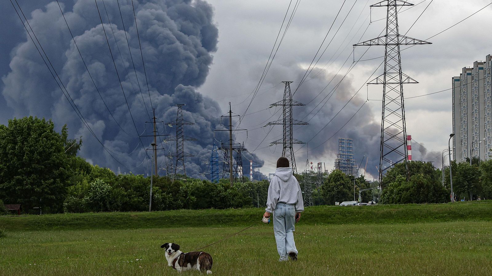 Persona y perro pasean en un campo verde con una gran columna de humo industrial en el fondo.