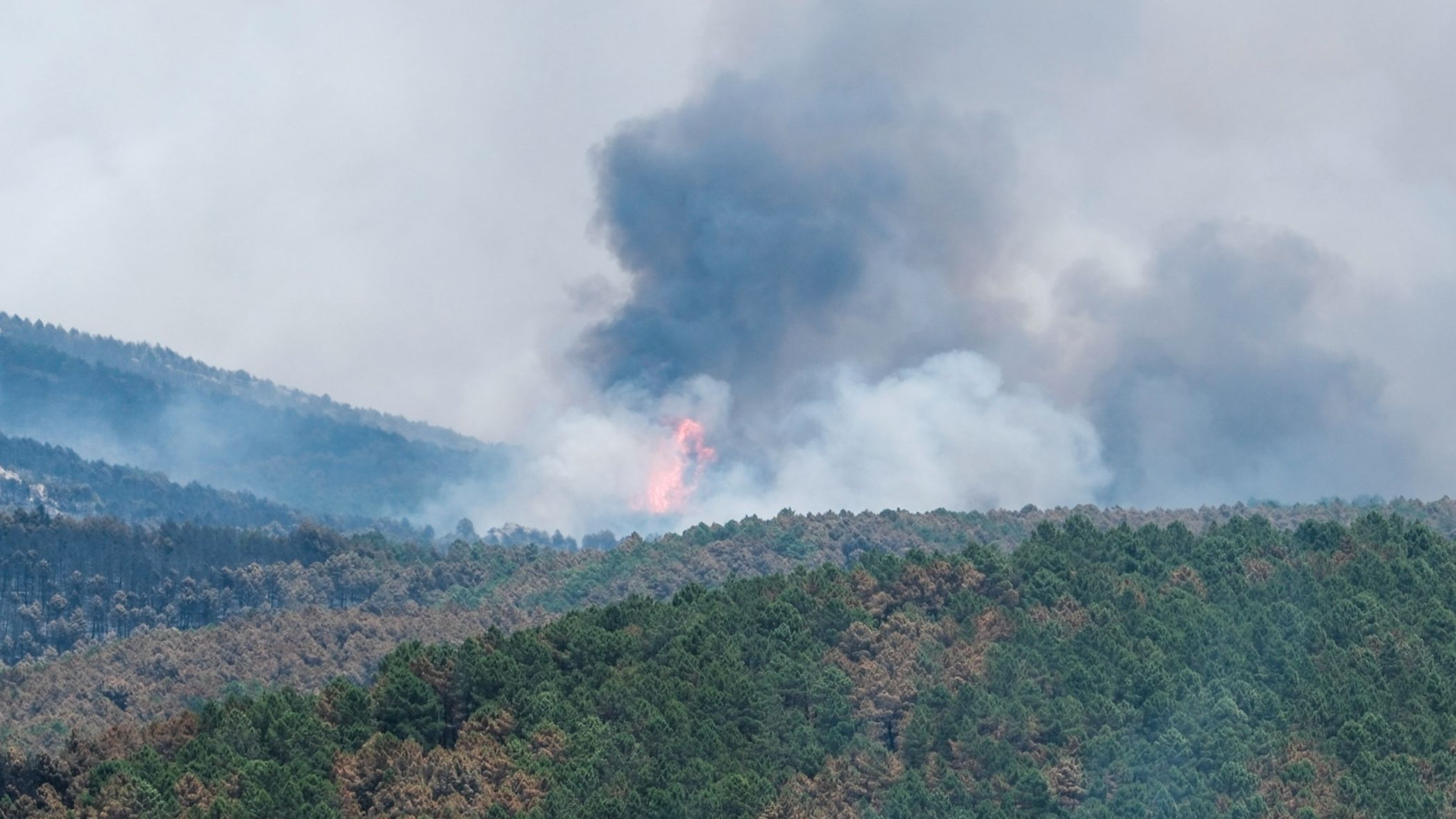 https://img2.rtve.es/n/17161750