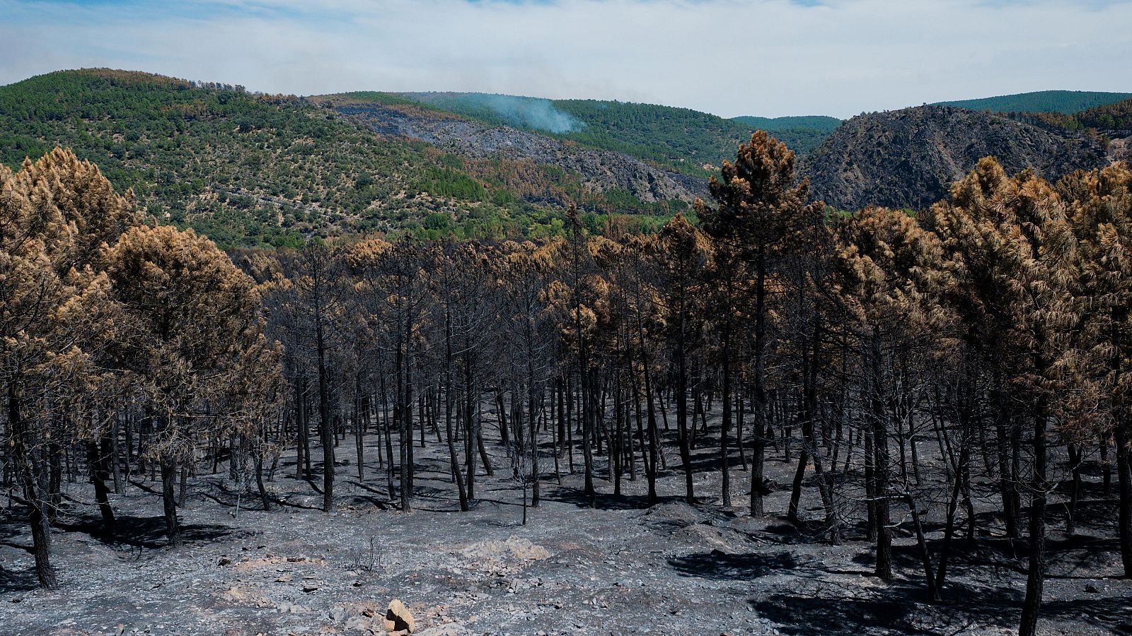 Efectivos de la Unidad Militar de Emergencias (UME) trabajan en el incendio de La Mierla, en Guadalajara