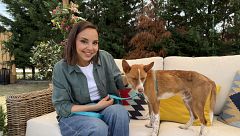 'Dog House' denuncia a los criaderos ilegales: "Hemos visto grandes barbaridades"