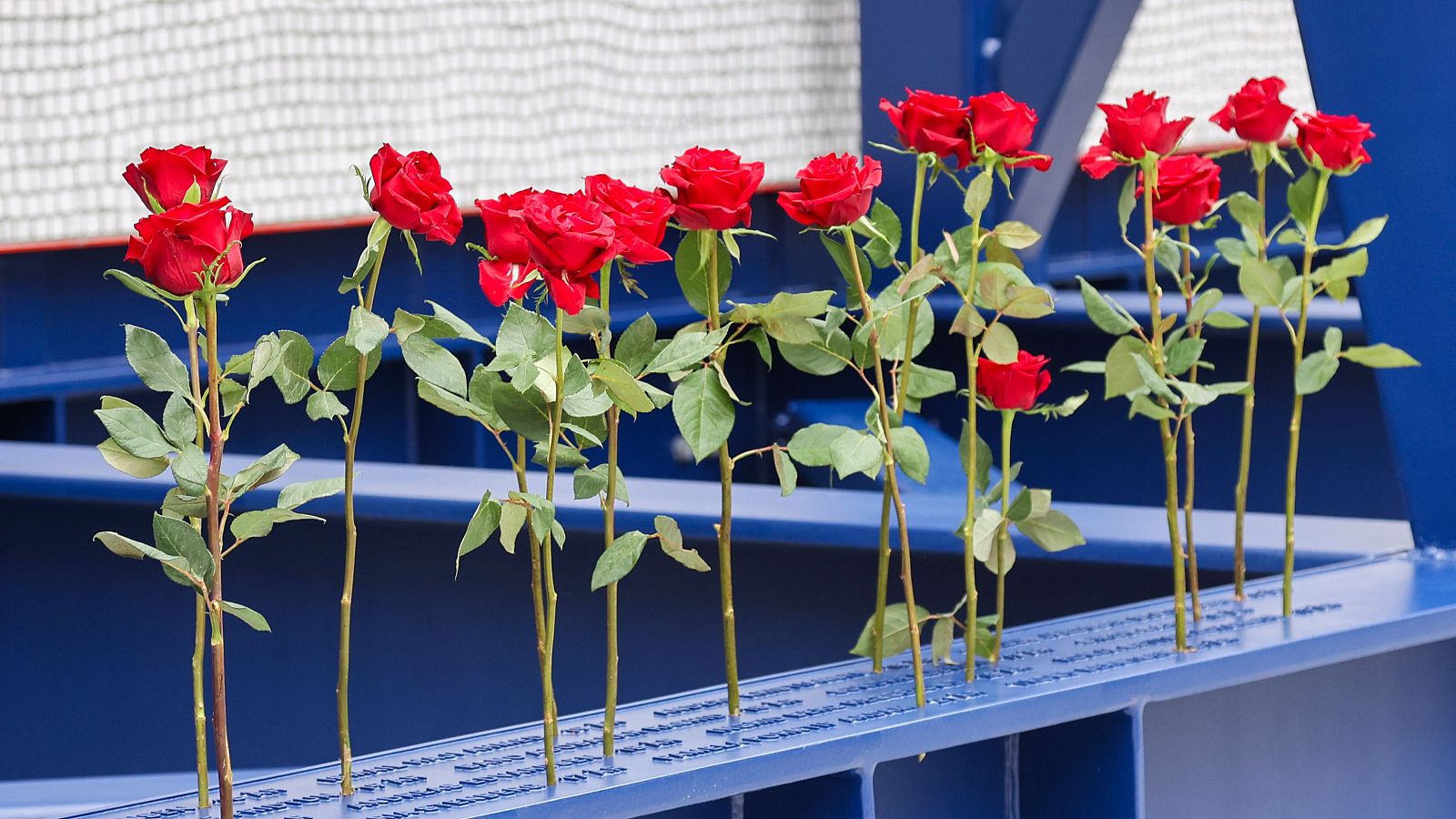 Rosas en el monumento conmemorativo nacional en recuerdo de las 77 víctimas del ataque terrorista del 22 de julio de 2011, durante la ceremonia de inauguración en el distrito gubernamental de Oslo, Noruega
