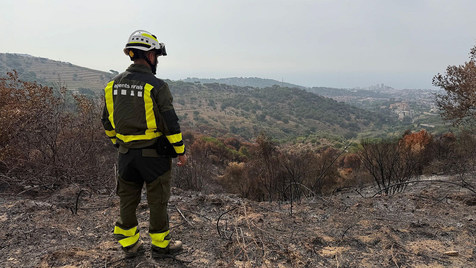 Hi ha 73 municipis de 13 comarques en risc molt alt d'incendi forestal