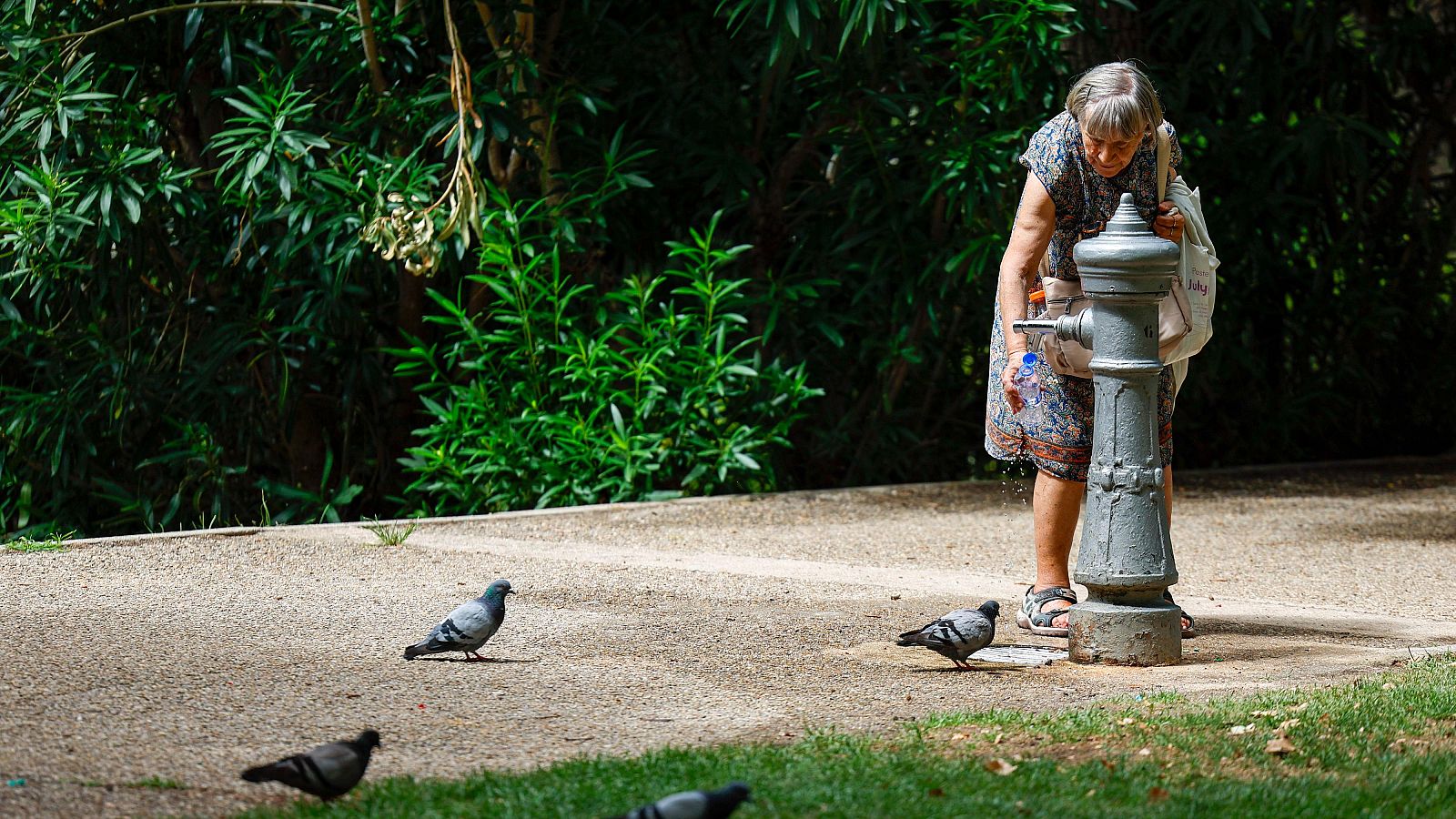 Mujer mayor rellena botella en fuente pública rodeada de palomas en un parque soleado con vegetación frondosa.