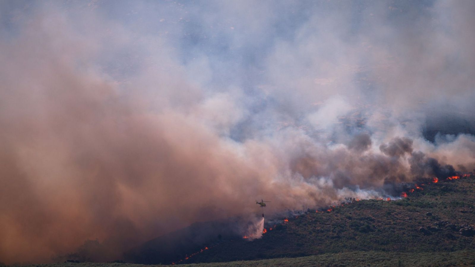 Incendio en las inmediaciones de Burgohondo (Ávila)