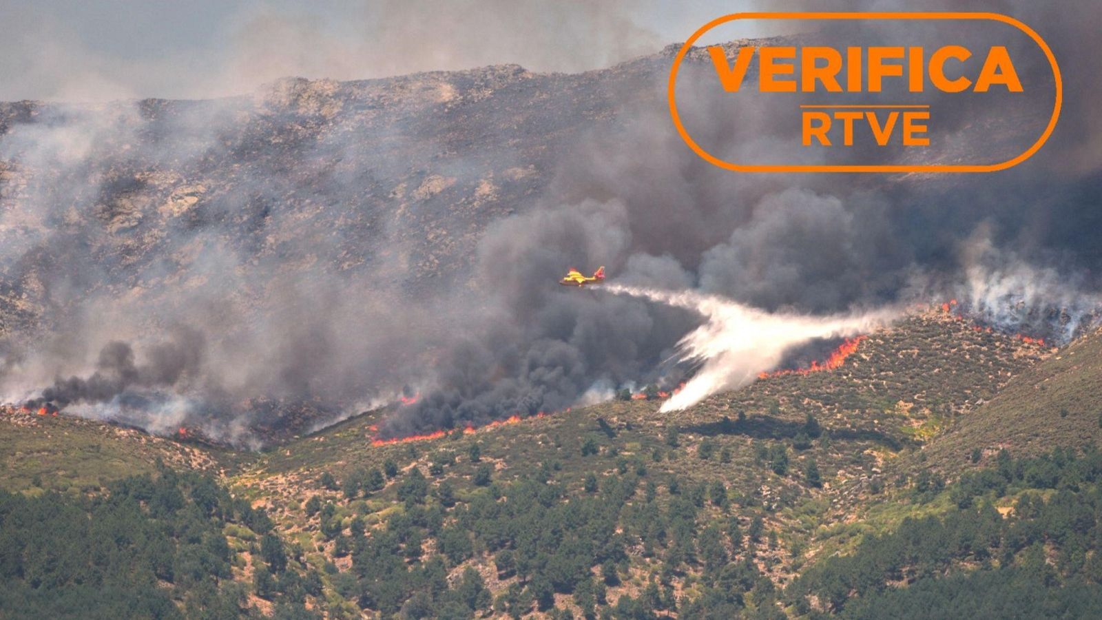 Emergencia nacional por los incendios: qué es y qué implica