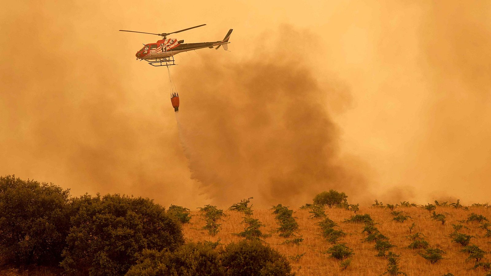 La causa de los incendios fuera de control: el abandono del monte y el cambio climático