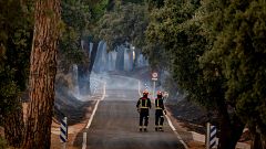 La UME unifica bajo el mismo mando operativo los incendios de Madrid y Ávila, que han arrasado ya 25.000 hectáreas