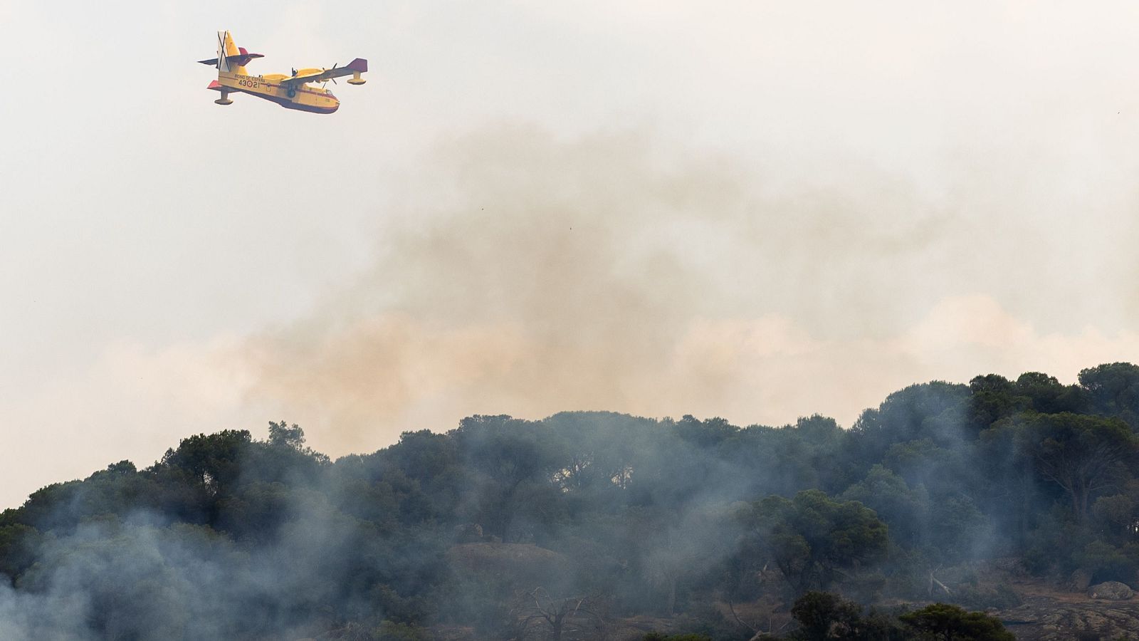 Hidroavión "43-06" sobrevolando un bosque en llamas, con una densa columna de humo elevándose hacia el cielo gris.