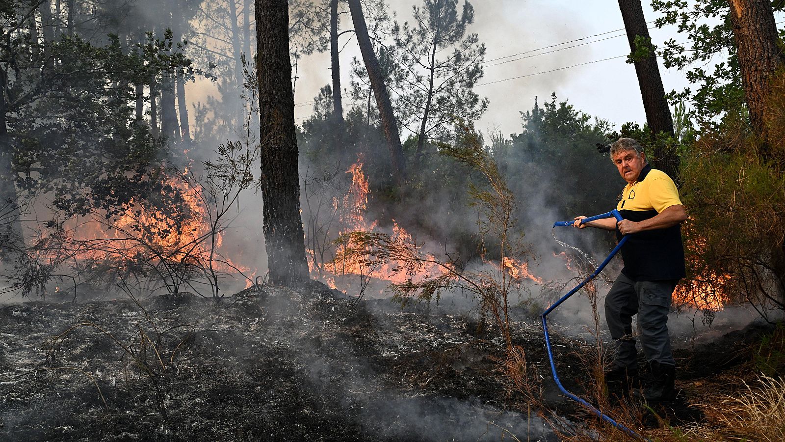 Hombre con camiseta polo bicolor y manguera azul intenta apagar un incendio forestal con llamas naranjas y rojas, humo grisáceo y vegetación carbonizada.