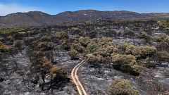 Los incendios en Madrid y Ávila enfrentan dos días críticos ante la llegada de una ola de calor a partir del miércoles