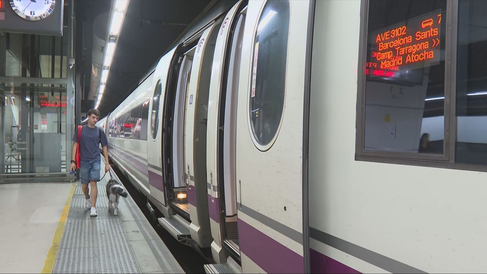 Hombre con perro en andén de estación. Tren AVE blanco con franjas moradas y grises detenido. Pantalla: "AVE 3102", "Barcelona Sants", "Camp Tarragona >>", "Madrid Atocha". Andén con franja táctil amarilla. Reloj: 12:05.