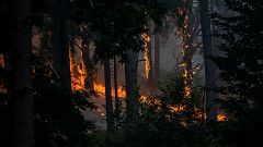 Anatomía del incendio más grande de la historia de España: más de 50.000 hectáreas en cinco días