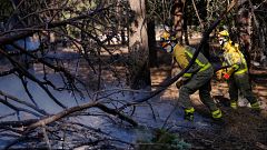 Última hora de los incendios en Madrid, Ávila, Toledo y Castellón, en directo hoy | Marlaska dice que la evolución es "razonablemente positiva" ante las horas críticas por la ola de calor