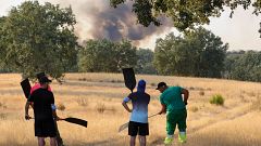 Incendios en España hoy, última hora en directo | El incendio de Vall d'Uixó avanza sin control mientras los fuegos de Madrid y Ávila mejoran