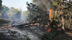Estabilizados los incendios en Madrid y Ávila, donde vuelven los evacuados, mientras avanza el fuego en Castellón