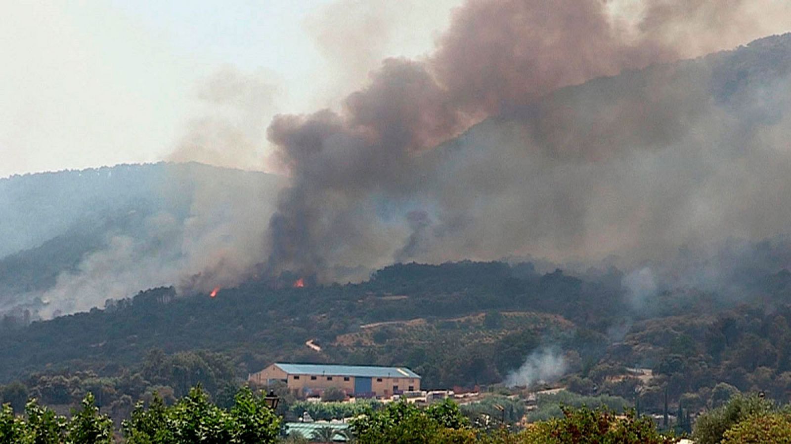 El fuego originado en Almorox, Toledo, se ha extendido a Madrid