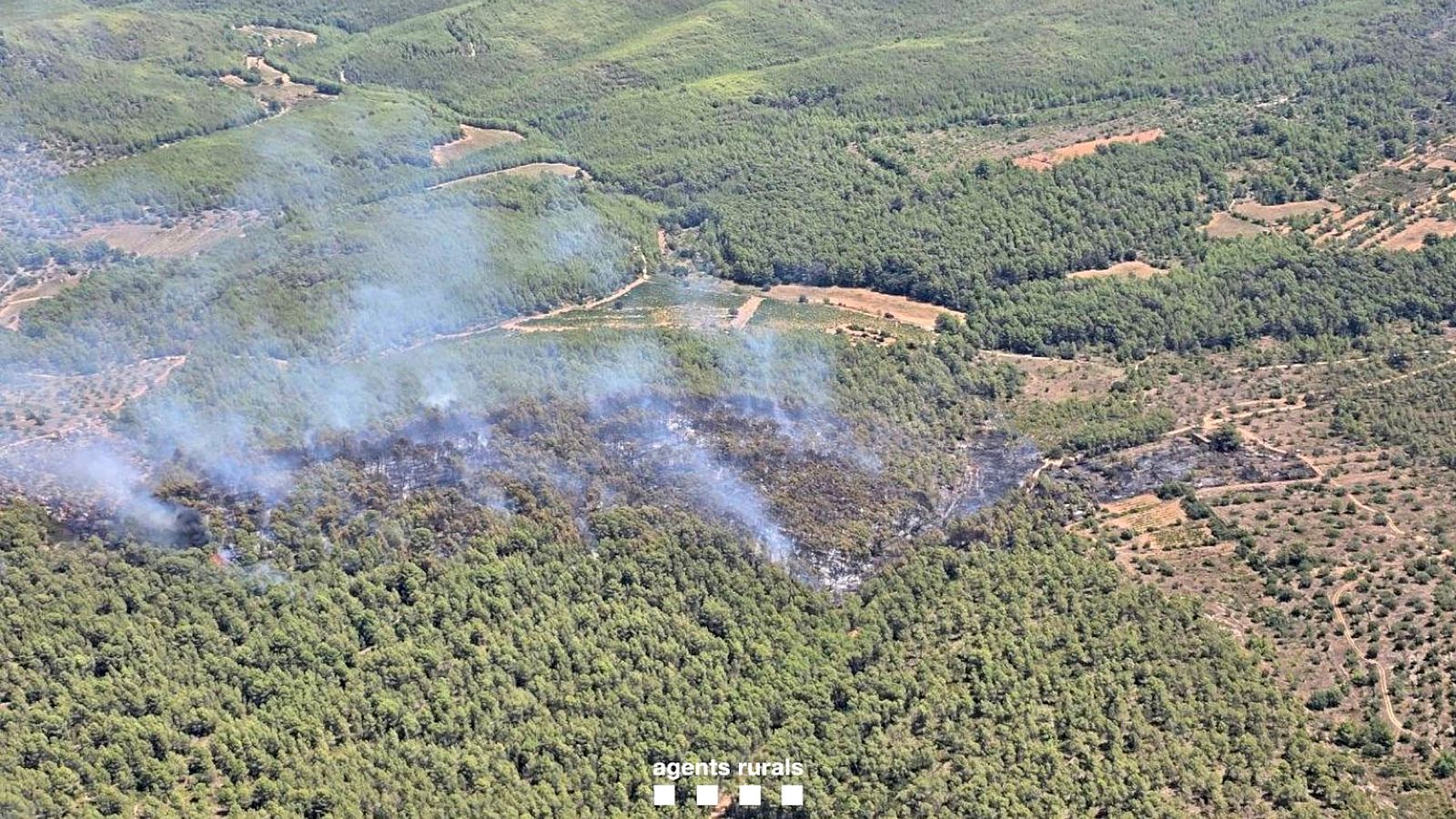 Zona afectada per l'incendi forestal a Masllorenç