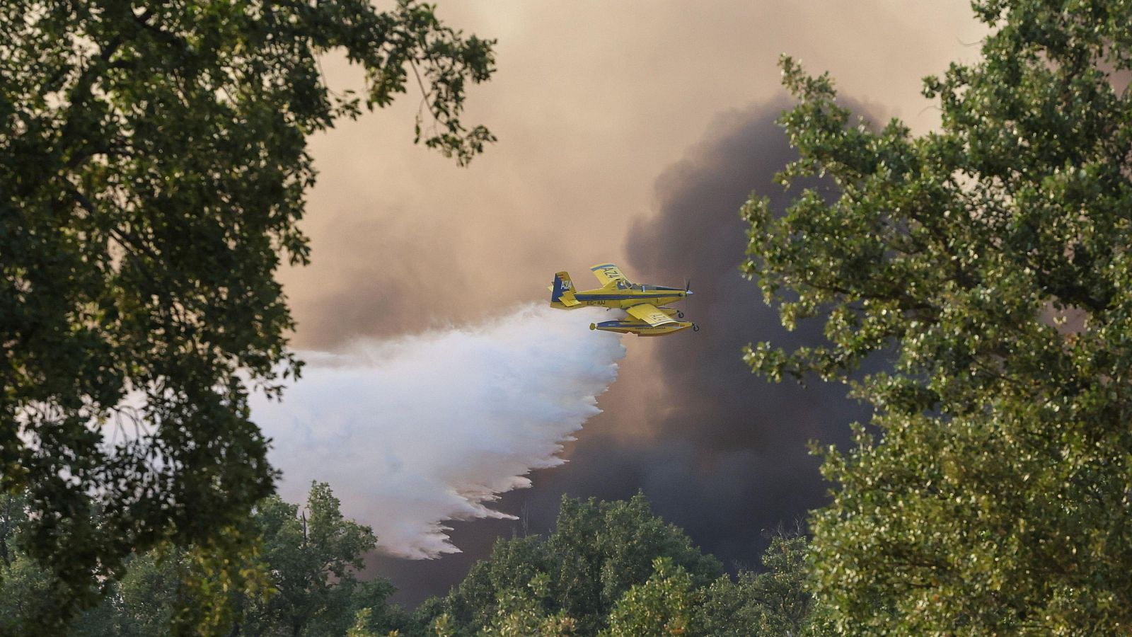 Un hidroavión lanza agua sobre el incendio de Fermoselle (Zamora)