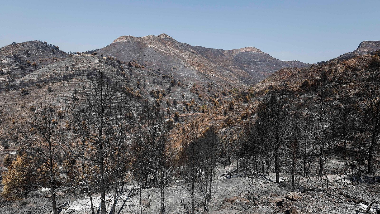Paisaje quemado en La Vall d'Uixó, donde el incendio declarado el pasado sábado ha podido ser estabilizado