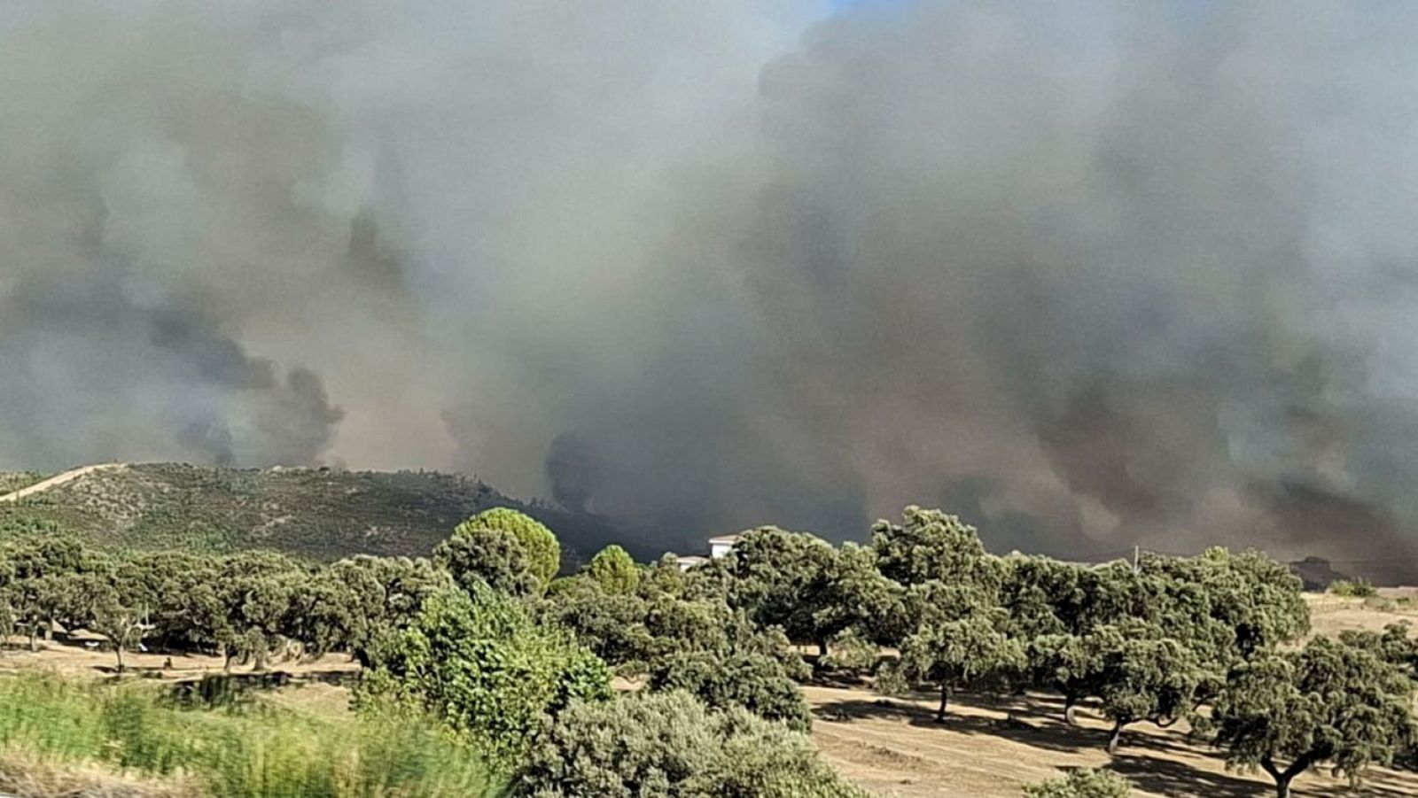 Un camión incendiado en la Autovía de la Plata ha provocado un incendio forestal en Cáceres
