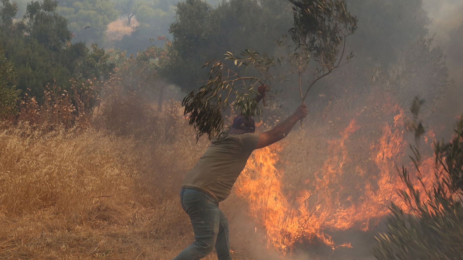 Un voluntario combate un incendio forestal en la zona de Mégara, en la región de Ática (Grecia).