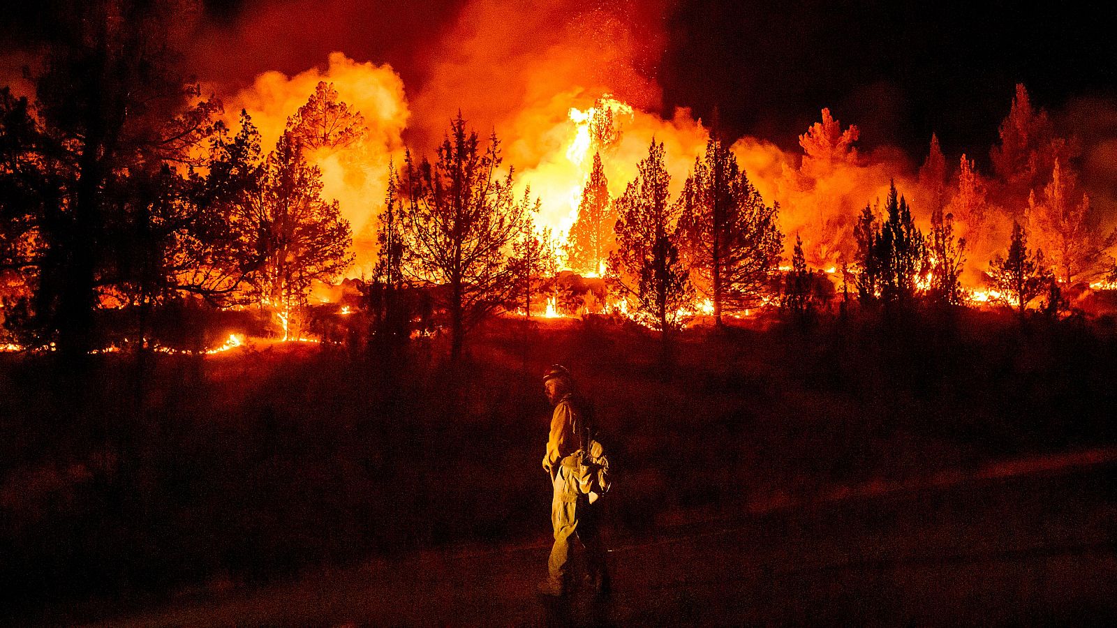 Los incendios se intensifican en el noroeste de EE.UU. y Oregón rompe su récord de área quemada con 809.000 hectáreas