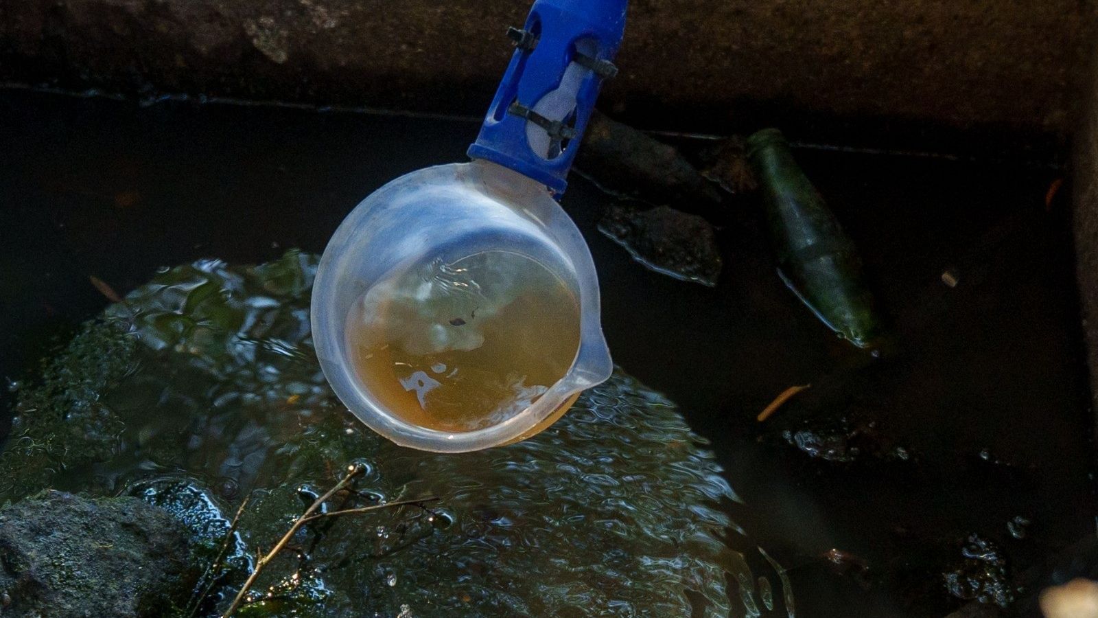 Cazo de muestreo con muestra amarillenta en agua oscura, rodeado de vegetación y botella verde. Vista aérea.