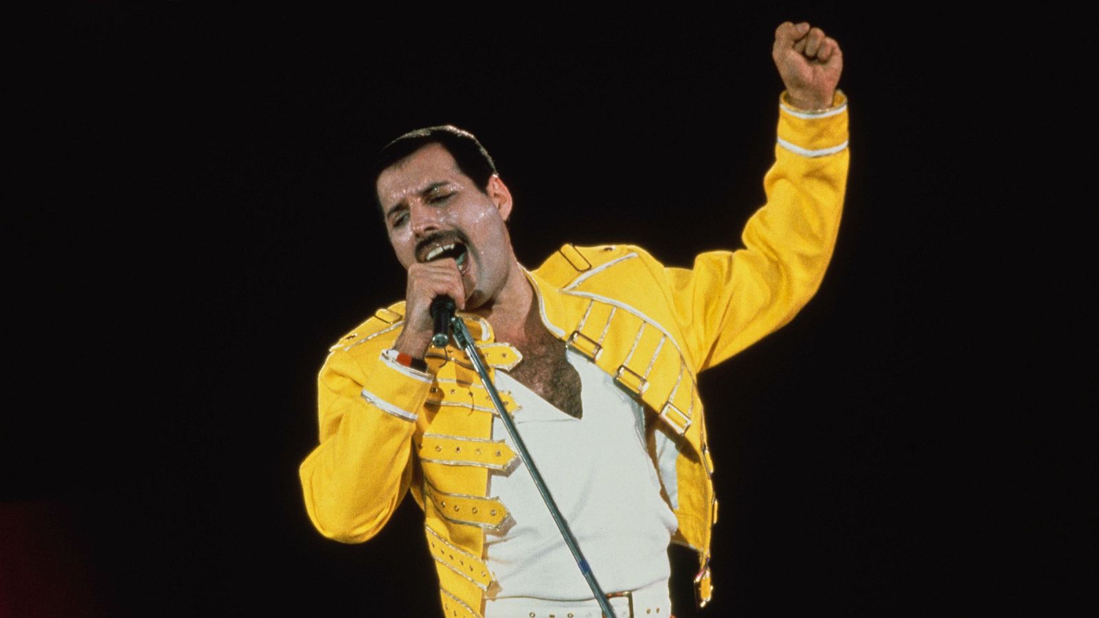 40 años del último concierto de Queen con Freddie Mercury