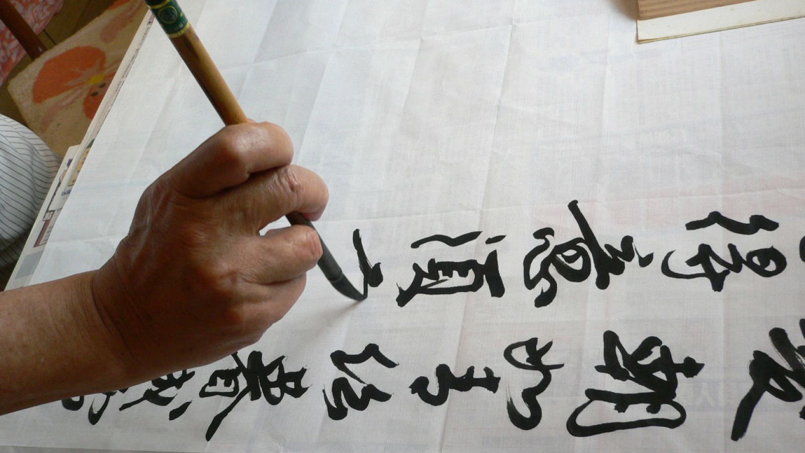 'Memoria de delfín' con el idioma chino