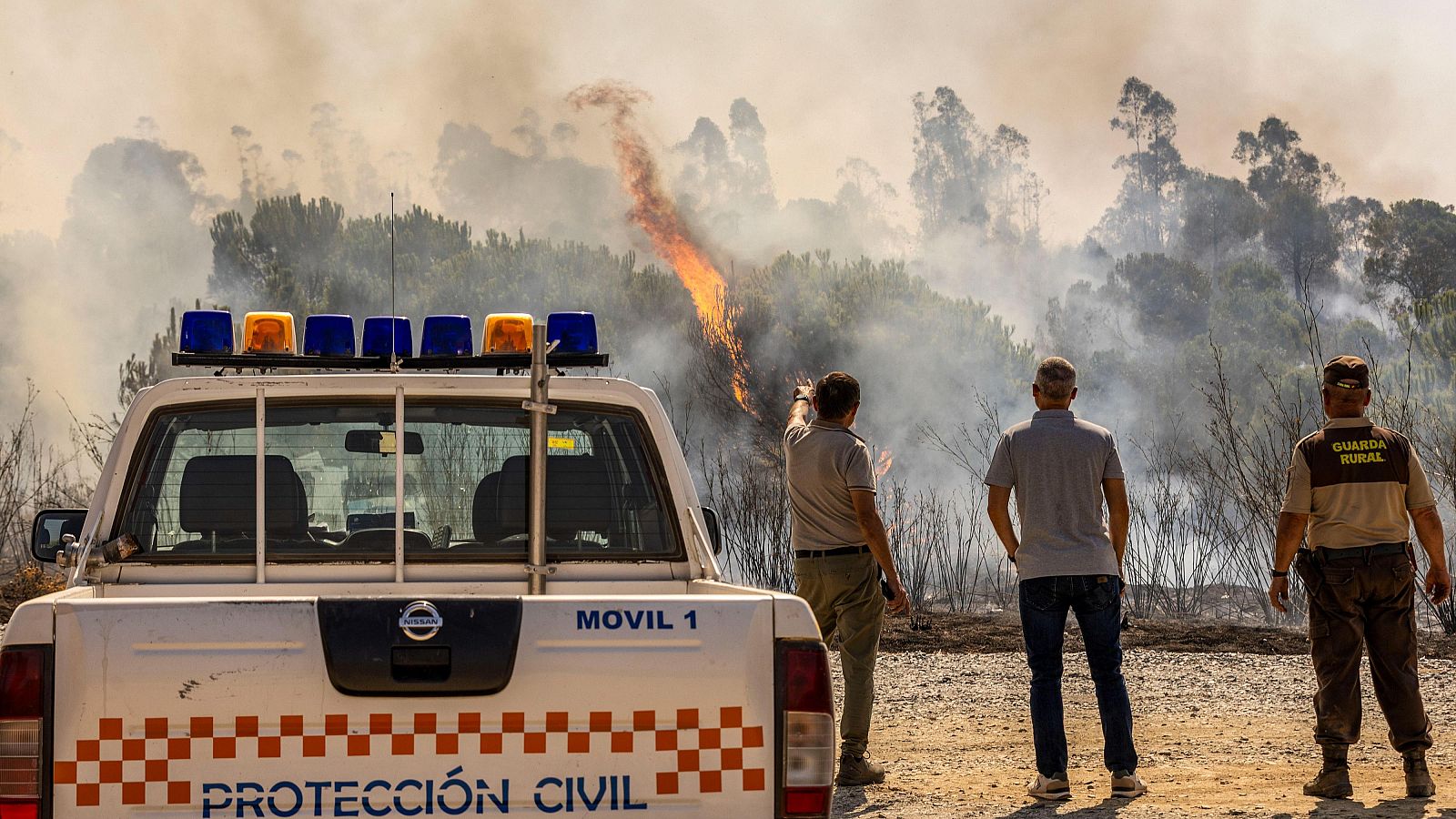 Incendio junto al embalse del Corumbel Bajo en La Palma del Condado, Huelva