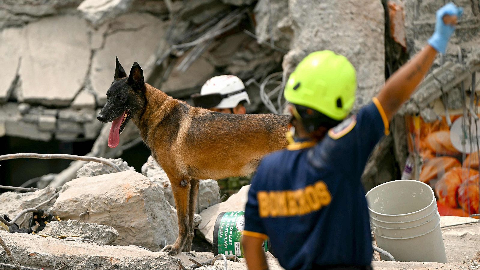 Los equipos de rescate buscan algún superviviente entre los escombros de los edificios derruidos.