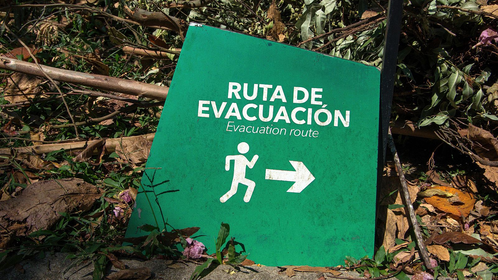 ¿Qué hacer en caso de terremoto?"