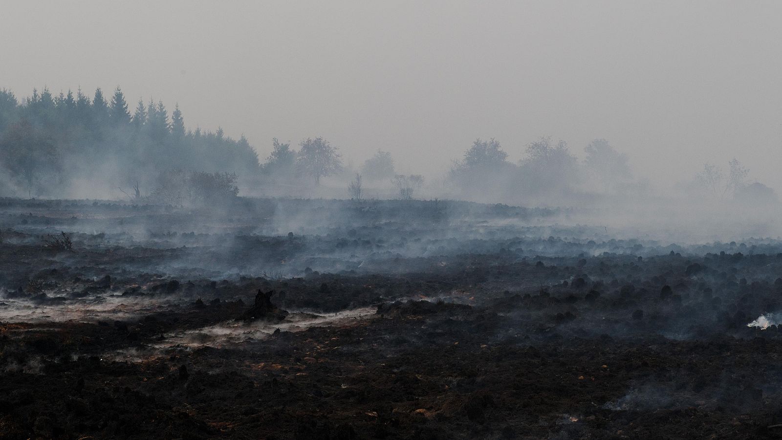 Bélgica se enfrenta al peor incendio de su historia que amenaza con llegar a Alemania