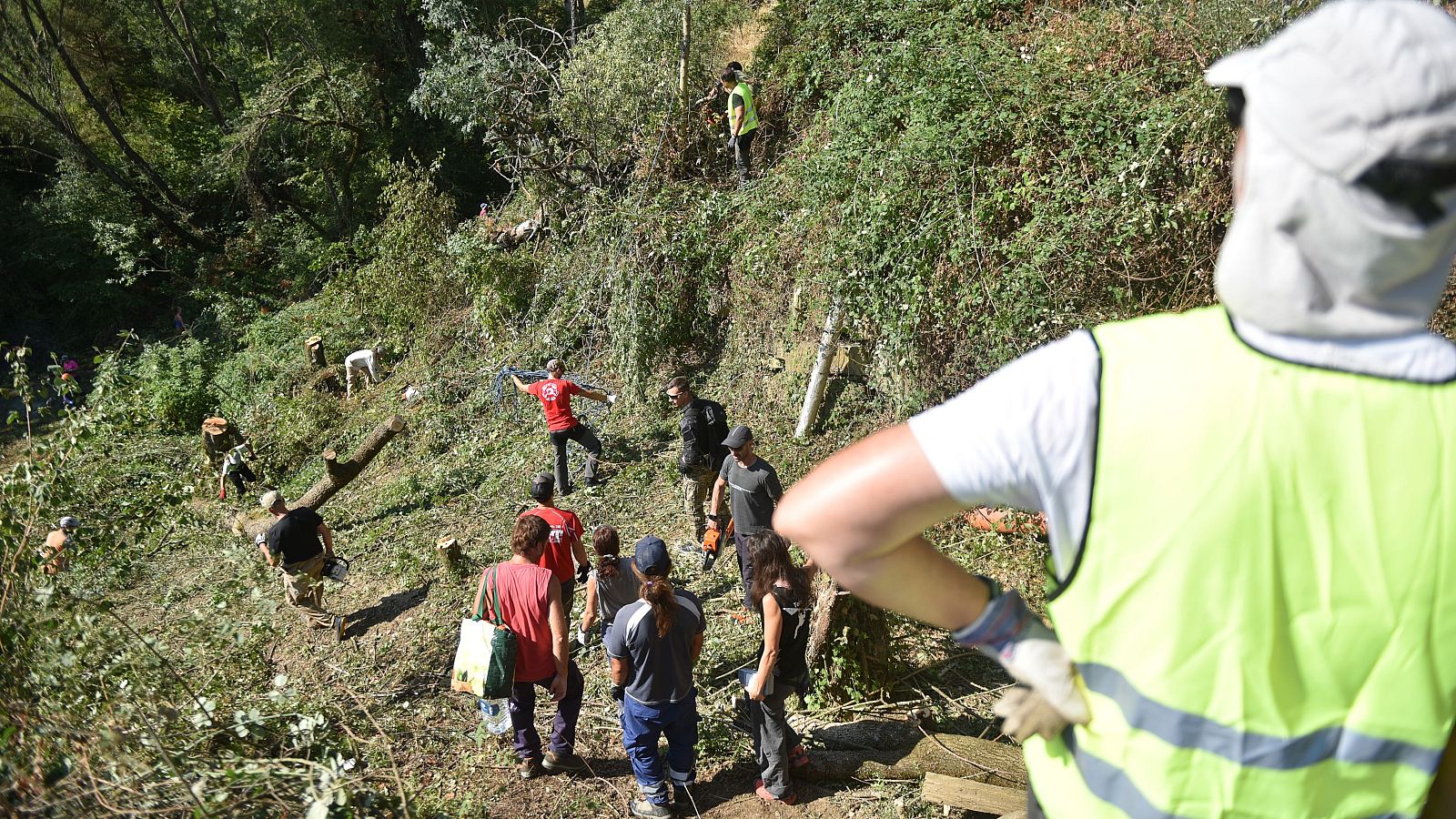 oluntarios limpian vegetación en el monte para crear cortafuegos contra el incendio de Riglos
