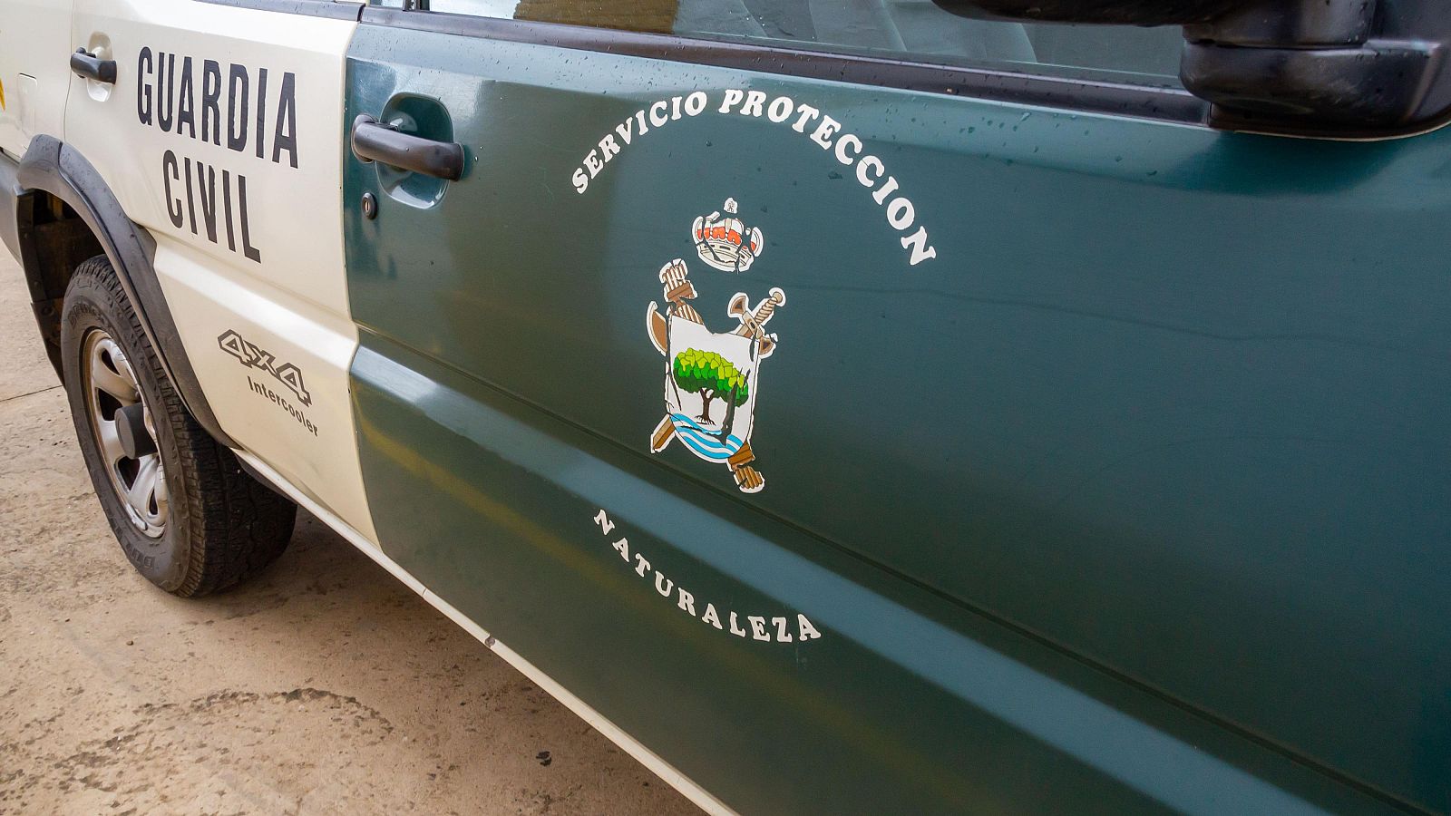 La Guardia Civil despliega un operativo de búsqueda en la provincia de Toledo ante el posible avistamiento de un león