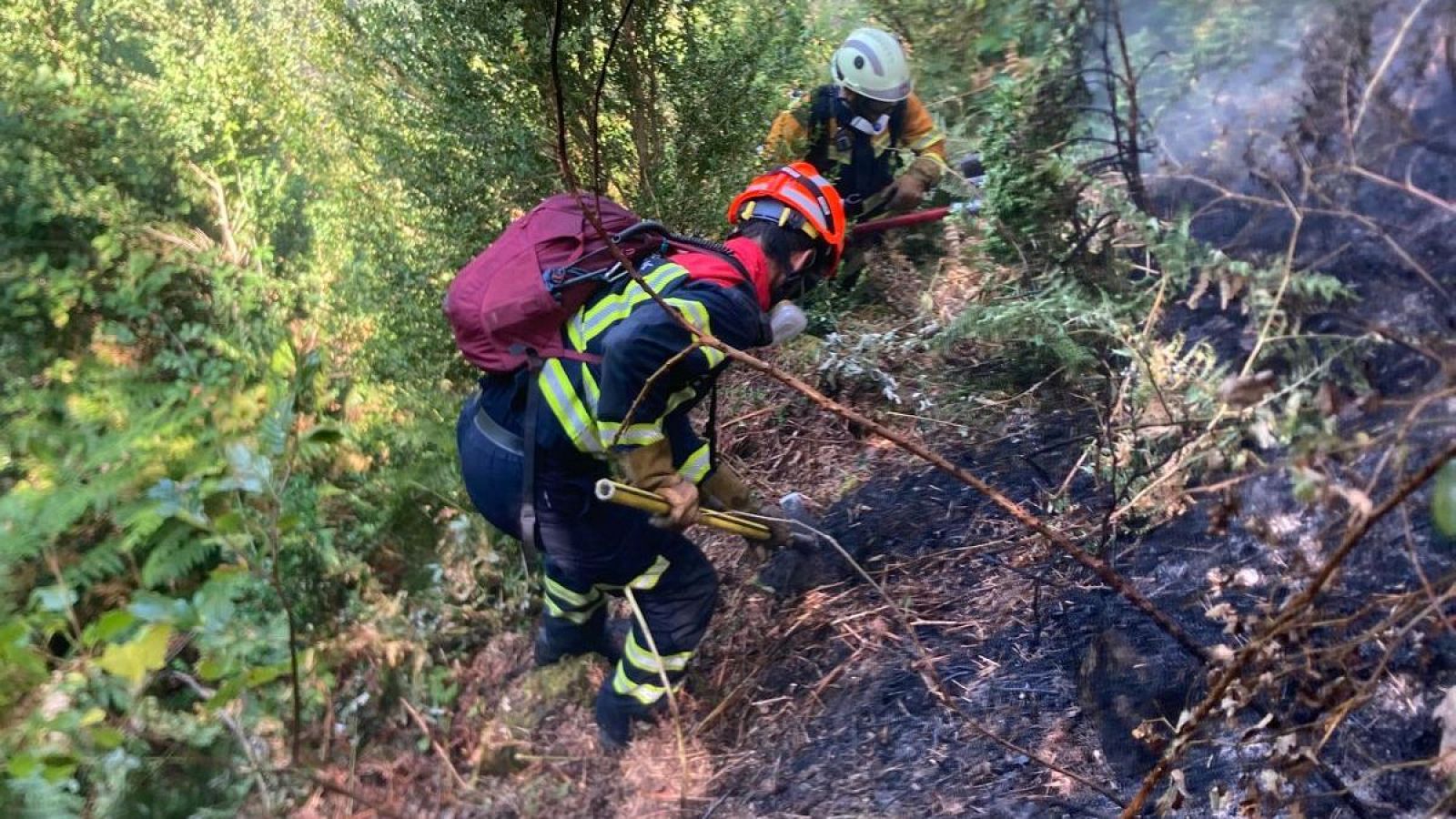 Bomberos forestales combaten un incendio en un bosque, utilizando herramientas manuales para controlar las llamas y la vegetación afectada.