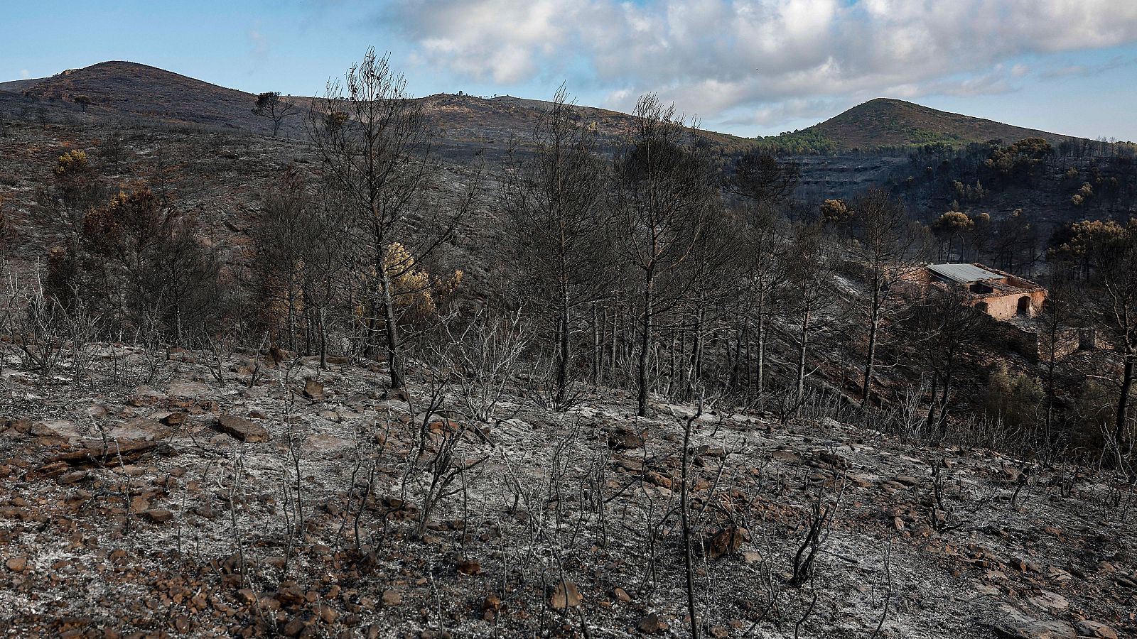 Estabilizado el incendio de Segorbe, en Castellón