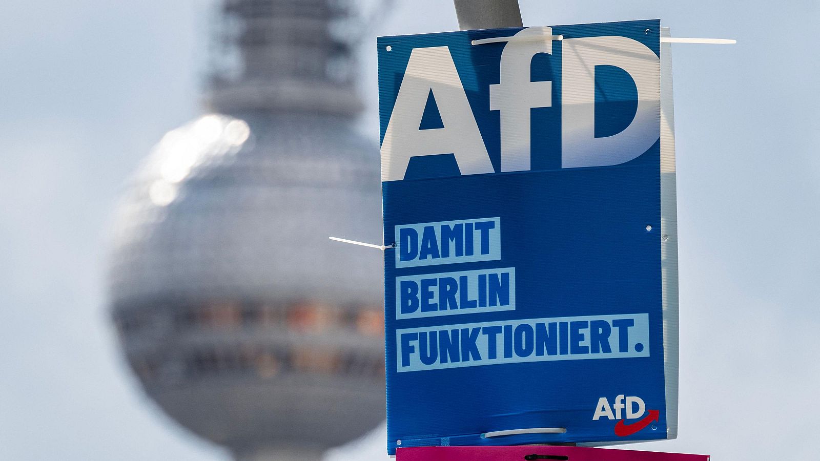 AfD pondría fin el Tratado de Schengen si llegara al Gobierno