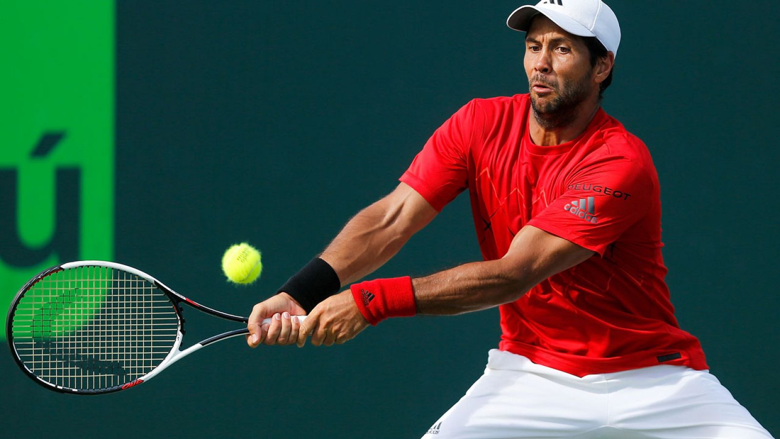 Fernando Verdasco, durante su partido ante Pablo Carreño