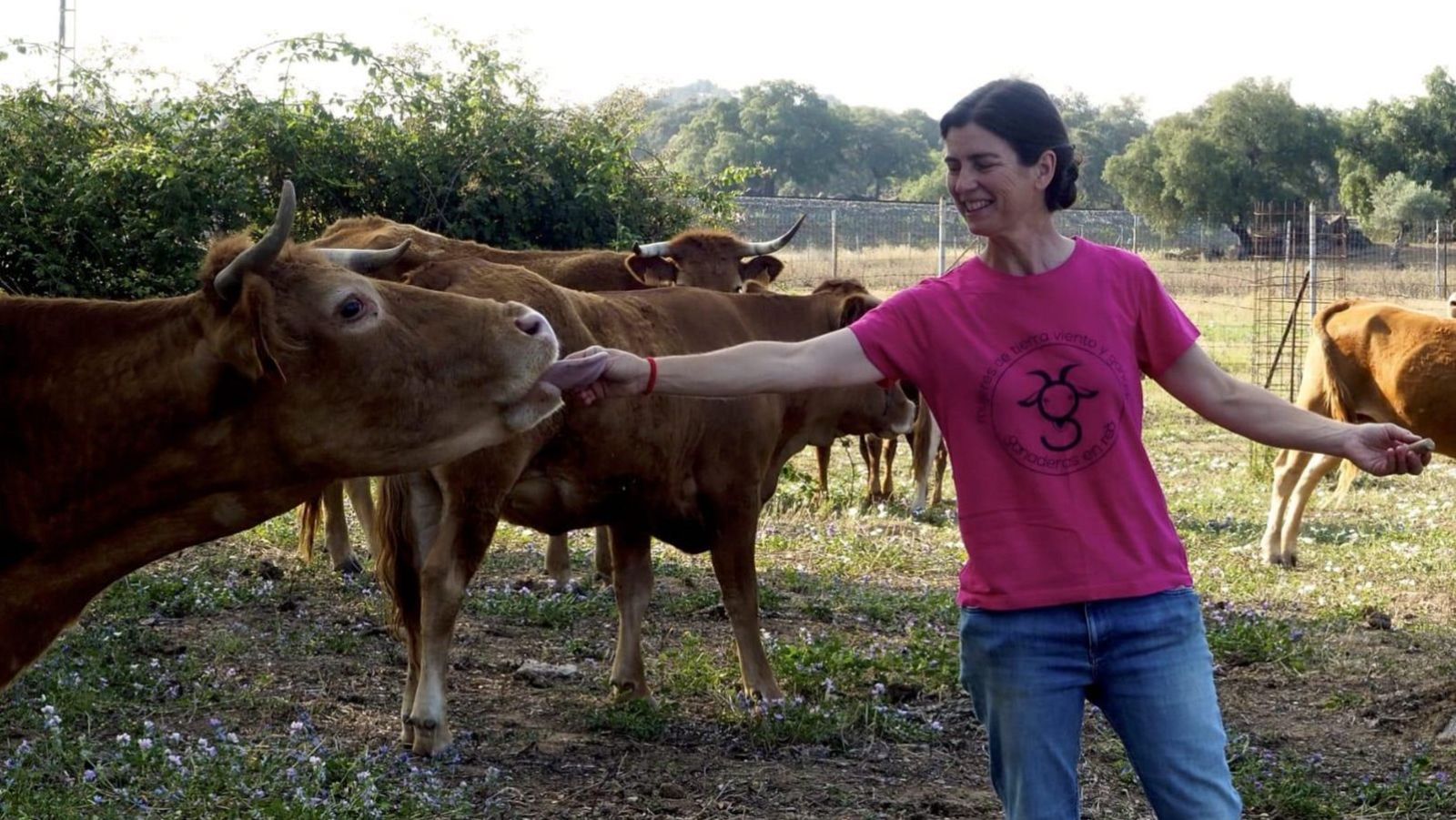 Monte Orodea, ganadera, con su rebaño de vacas retintas en El Pedroso (Sevilla)