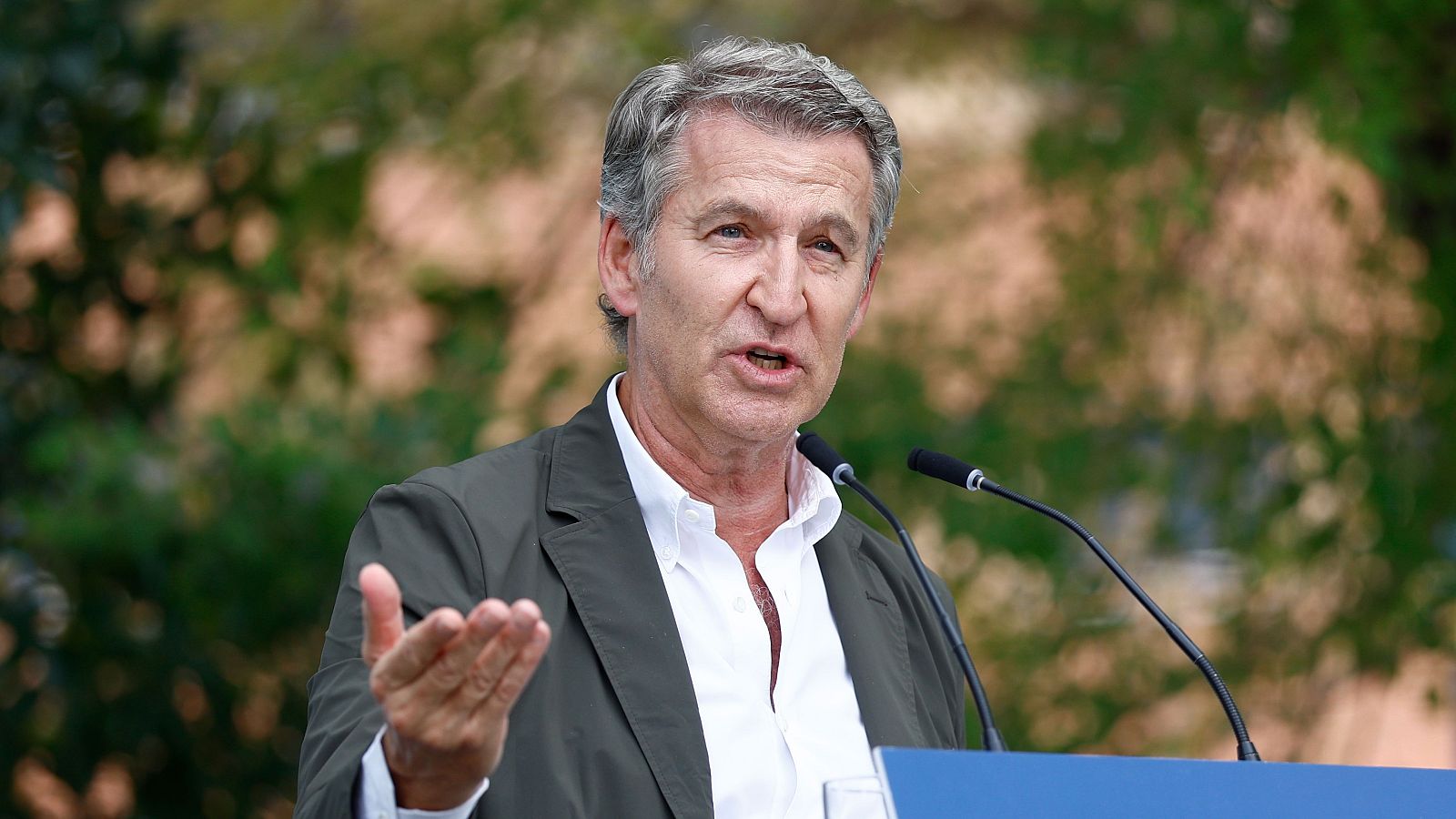 El presidente del PP, Alberto Núñez Feijóo.