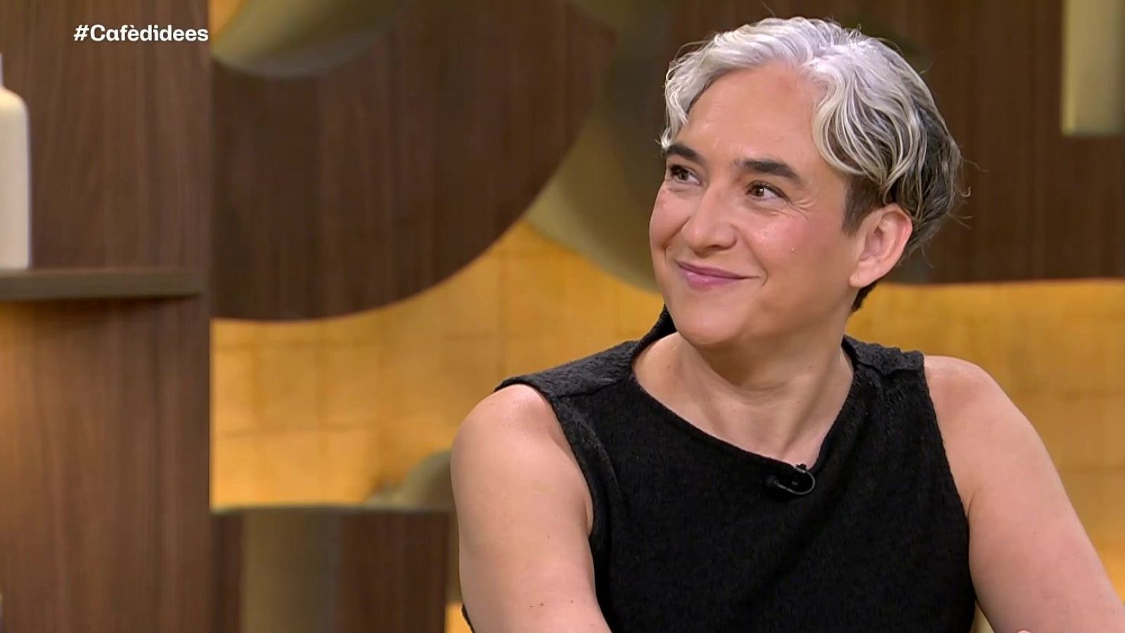 Ada Colau en una entrevista al Cafè d'idees