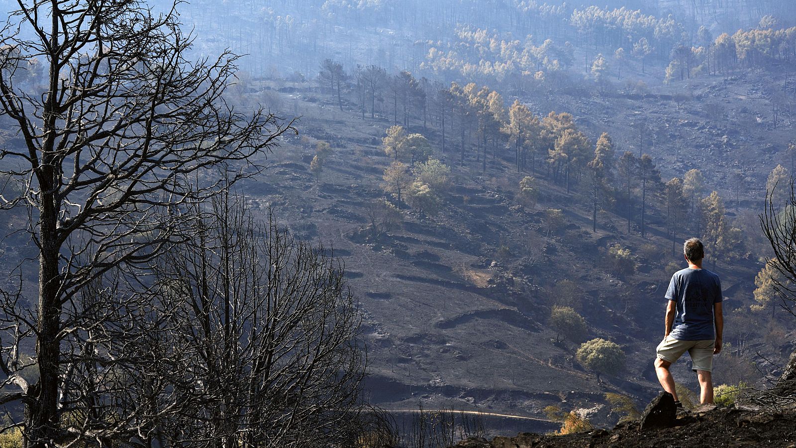 Casi el 80% de los españoles piden un Pacto de Estado para hacer frente al cambio climático