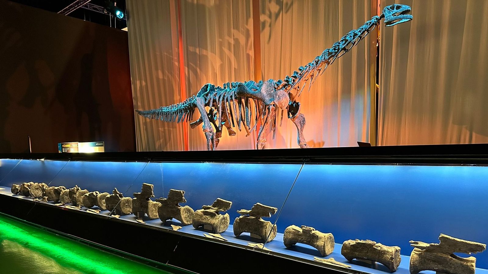 Descubren en Teruel los primeros restos de diplodocus fuera de Estados Unidos