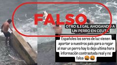 No es un migrante "ilegal" ahogando a un perro en Ceuta, es un video de Perú en abril