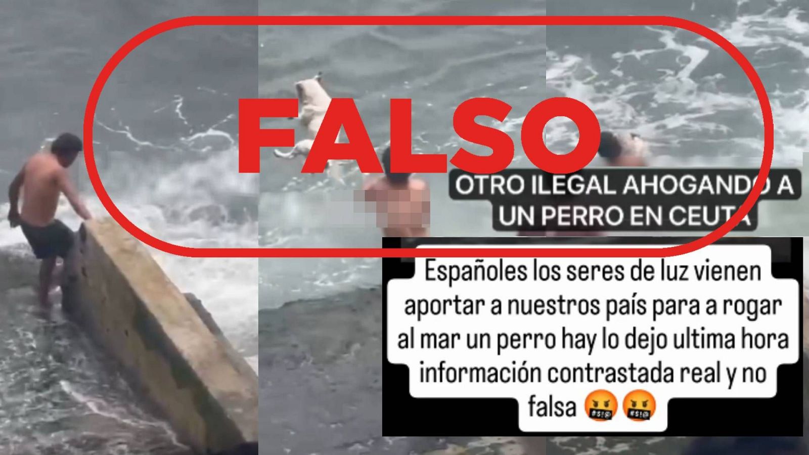 No es un migrante arrojando a un perro al mar en Ceuta, es falso