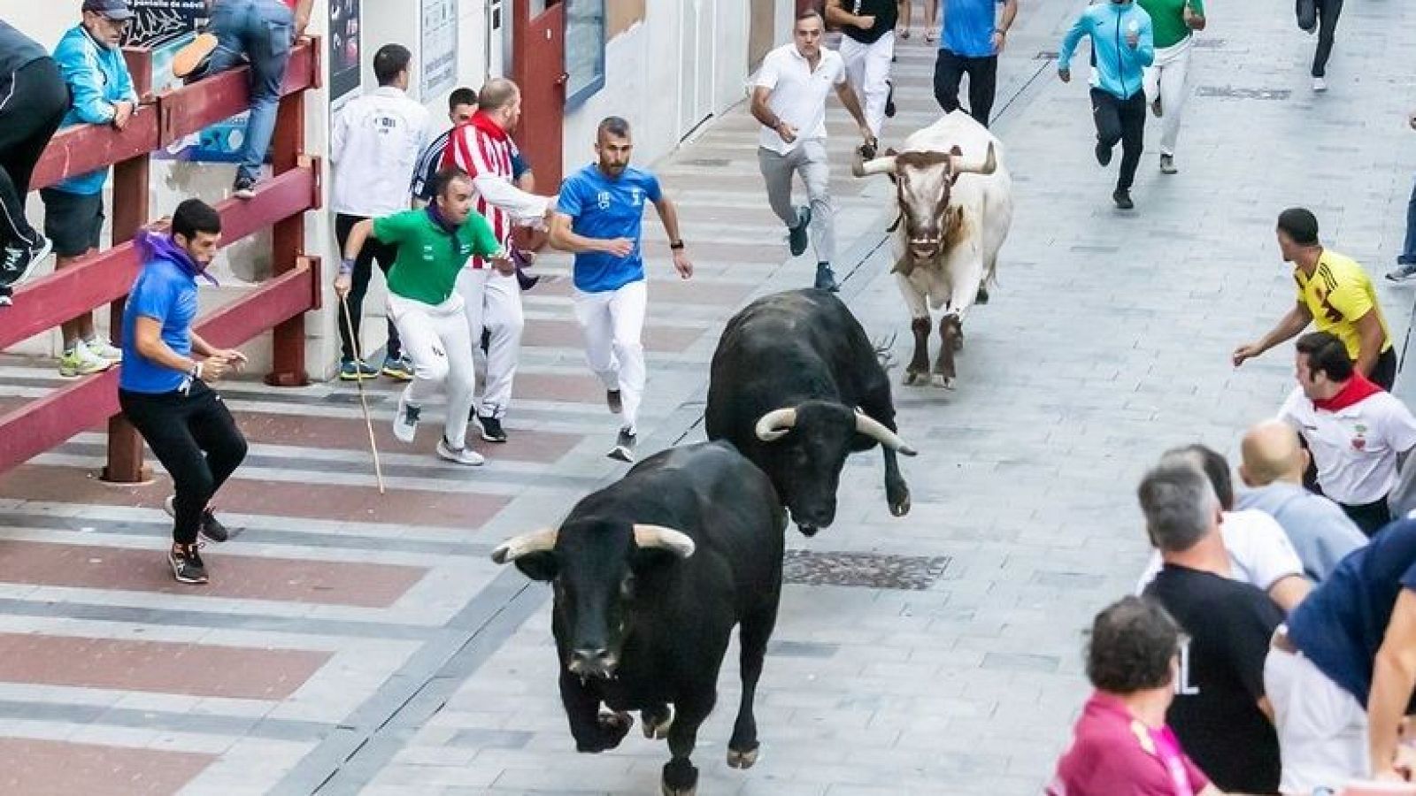Imagen del primero de los cinco encierros de Guadalajara en las Ferias y Fiestas 2026